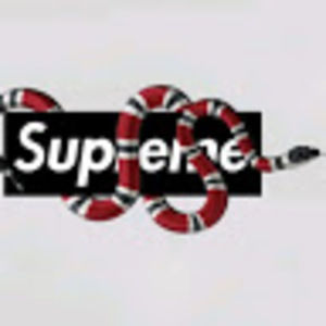 Meet your Posher, Mason